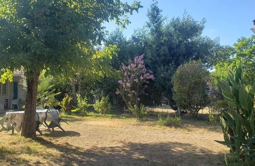Naujac-Sur-Mer House | 125 - Holiday house 6 minutes from the beach of Pin Sec