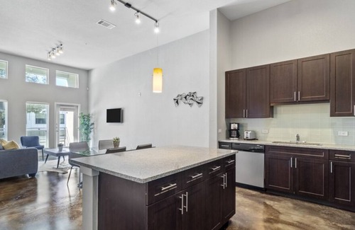 Fort Worth Cultural District Apartment | 12ft Ceilings | King Bed | Luxury Apartment