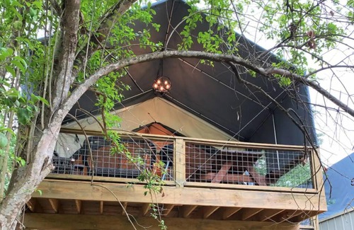 Seguin House | #13 Son's Geronimo - Birdhouse Cabin