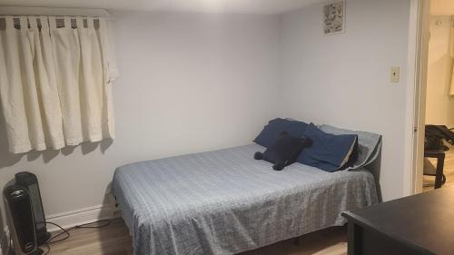 The Pocket Apartment | 132 Chatham ave