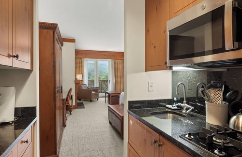Stowe Area Cabin | #1421 | Studio | Amazing Full Mountain Views | Fourth floor