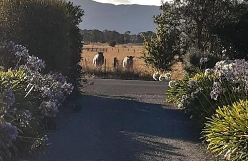 Greytown Bed & Breakfast | 15 On Wards