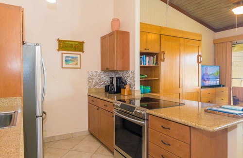 Napili Apartment | 158 Ten Star Reviews out of 158, AMAZING, Maui Magic, A206 with AC, BEACHFRONT