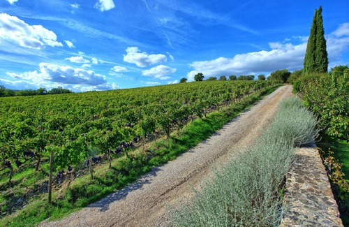 Montalcino Apartment | 160 m² Apartment ∙ 4 bedrooms ∙ 7 guests
