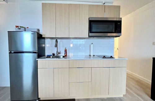 Downtown Baltimore Apartment | 1650/month Sweet Landing, WiFi, fitness room in Baltimore