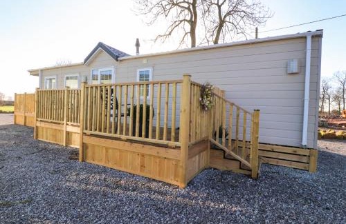 Wesham House | 17 Birchwood Close