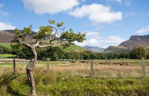 Caernarfon House | 17 Victoria Terrace - Perthi