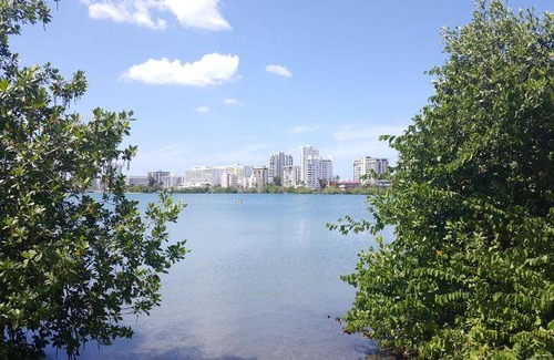 Condado Resort | 19 m² Resort ∙ 3 guests