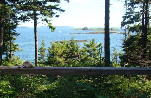 Brooksville Cottage | 1930's Private Oceanfront Cottage