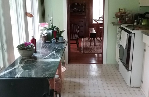 Fennville Other | 1940's Farmhouse. Saugatuck-Douglas/Fennville, Hutchins Lake, Fennville MI