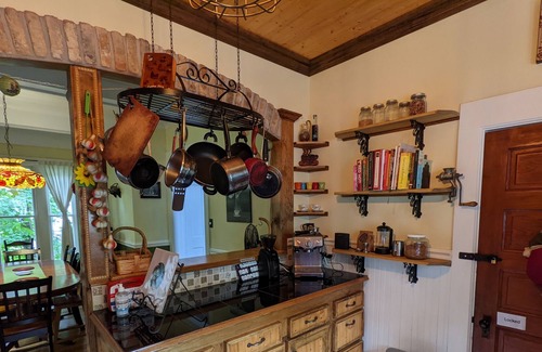 West Chicago House | 19th Century Charm - Kid Friendly - Fire Pit