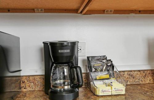 Chicago Apartment | 1BR Vibrant & Inviting Apt in Chicago - Montrose 2E