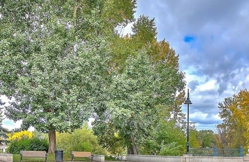 Crescent Heights Condo | 1BR Walkout Condo near Bow River with UG Parking