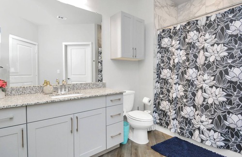 Spring Branch East Apartment | 1BR Wi-Fi KgBD 4KTV NRG DT MED Pool Galleria