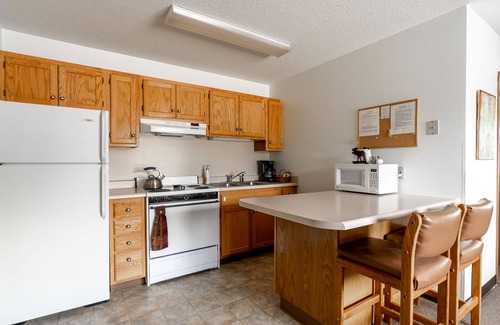 West Yellowstone Apartment | 1BR1BA Apartment Located Just Five Blocks From Yellowstone National Park!- Bison