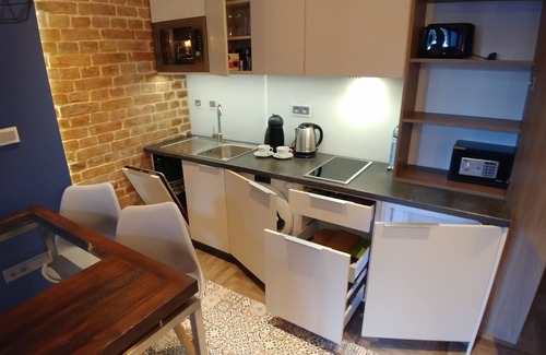 Wroclaw Old Town Apartment | 2-3 APARTMENTS Old Town