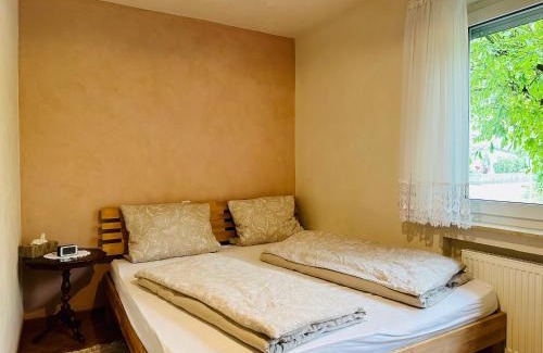 Marbach am Neckar Apartment | 2,5-Zimmerwohnung mit Terrasse - KEINE Monteure