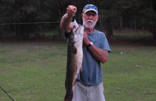 Donalsonville House | 2 acre Waterfront cottage!!!