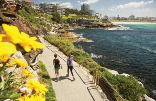 Woollahra Apartment | 2 Bdrm Art Deco Apt Stroll To Bondi Junction