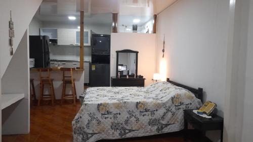 Risaralda Apartment | 2 beautiful Apartments in Downtown Risaralda Caldas 1 studio and 1 full apartment