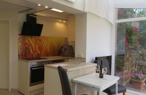 Pleisweiler Apartment | 2-Bed Apartment 36m� (Rose) - The Blue House