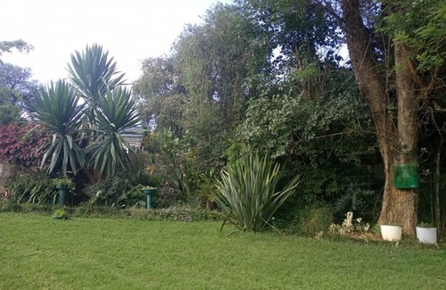 Harare Apartment | 2 bed guesthouse in Mabelreign - 2012