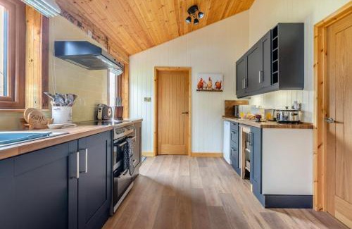 Beaworthy Cabin | 2 Bed in Ashwater oc-t29739