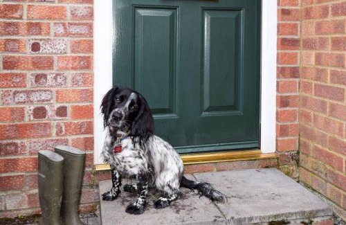 East Dereham House | 2 Bed in Mattishall 57133