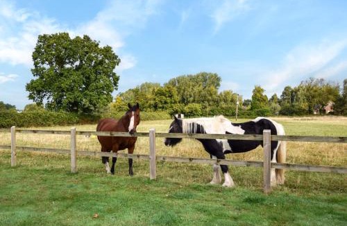 East Dereham House | 2 Bed in Mattishall 57133