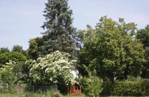Pelm Apartment | 2-bed vacation apartment no. 3, bath/WC, up to 4 persons - Ferienwohnungen Maijeschhof