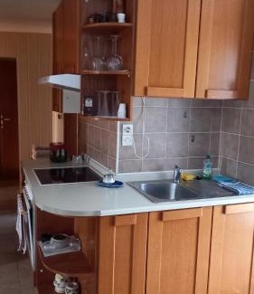 Trzic Apartment | 2-bedrom draga
