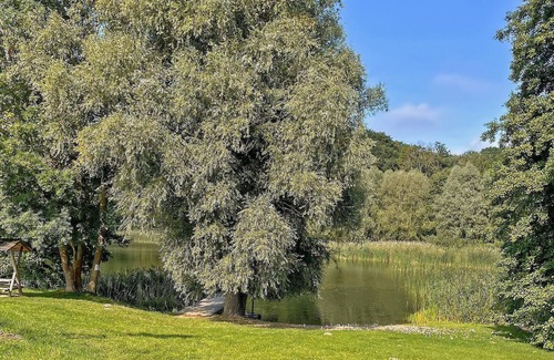 Muritz Apartment | 2 bedroom accommodation in Kuckssee OT Lapitz