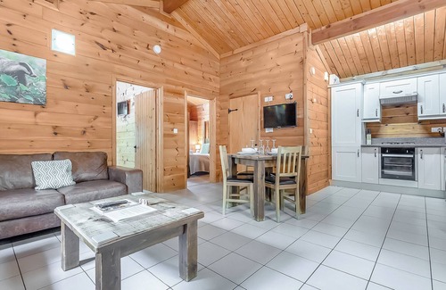 Freehay Ski Chalet | 2 bedroom accommodation in Freehay, Cheadle
