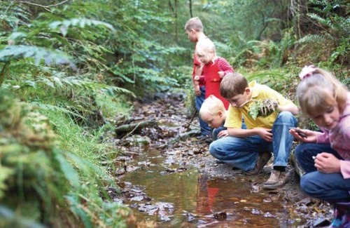 Pickering Cabin | 2 bedroom accommodation in Nr Pickering