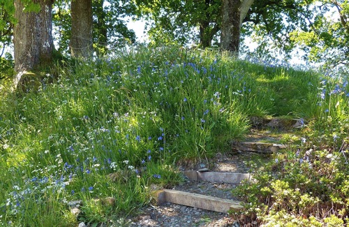 Dalmally Cottage | 2 bedroom accommodation in Dalmally