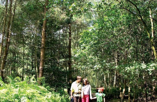 Edwinstowe Cabin | 2 bedroom accommodation in Sherwood Forest, Rufford