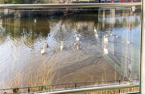 Ruswarp Cottage | 2 bedroom accommodation in Ruswarp, near Whitby