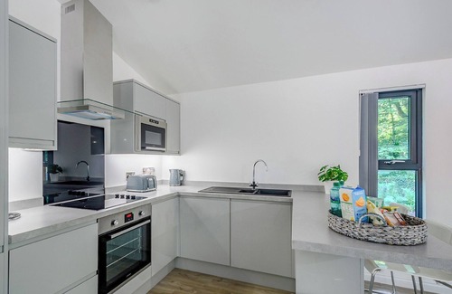 Annbank Ski Chalet | 2 bedroom accommodation in Annbank, Ayr