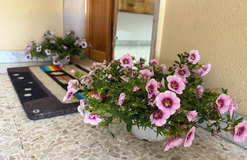 Terlizzi Apartment | 2 Bedroom Apartment in Terlizzi