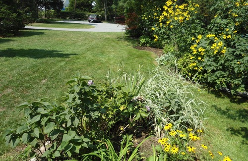 Southold Apartment | 2 Bedroom Apartment in Historic Home with private yard (WBH)
