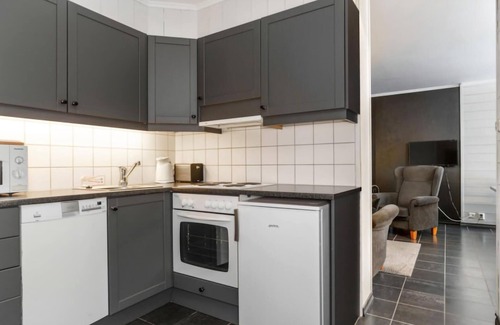 Hemsedal Apartment | 2 bedroom awesome apartment in Hemsedal
