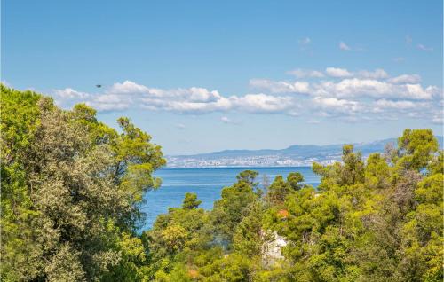 Milcetici Apartment | 2 Bedroom Awesome Apartment In Malinska