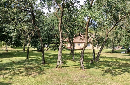 Dobbertin House | 2 bedroom awesome home in Dobbin