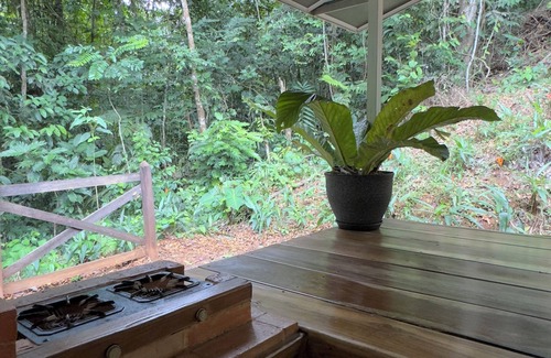 Sarapiqui Cabin | 2-Bedroom Coco Cabana in the Jungle