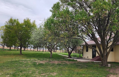 Holmesville Cabin | 2-bedroom country cabin pet friendly and horse boarding