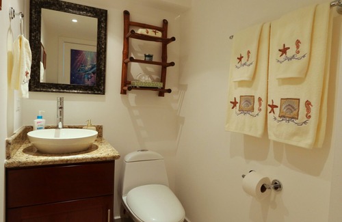 Cozumel Condo | 2 bedroom deluxe condo Palmar Condominiums