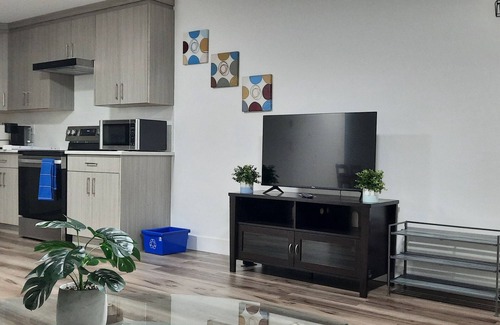Delta Apartment | 2 bedroom executive, private, cozy, clean suite