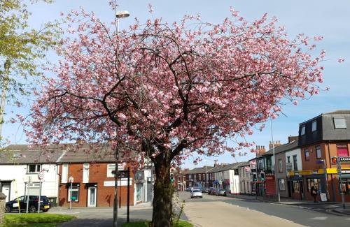 Rochdale Apartment | 2 Bedroom Flat Free Parking Fast Wi-Fi Self Check-in Visit Manchester Oldham Bury