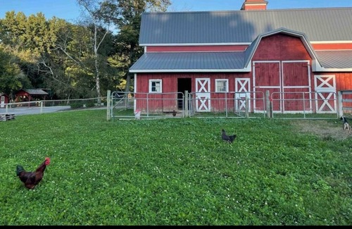 Gallupville House | 2 Bedroom getaway featuring Schoharie’s beauty