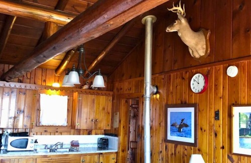 Trout Lake Cabin | 2-bedroom Lakefront Cabin #1 in Trout Lake, MI. Row boat & campfires included.